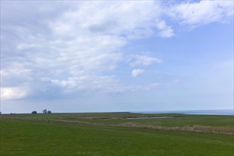 Salt marshes and North Sea dike in Butjadingen