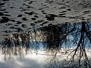 Ice remains on a pond with reflections