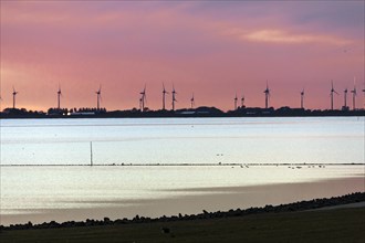 Meldorf Bay in the evening with a view of wind turbines