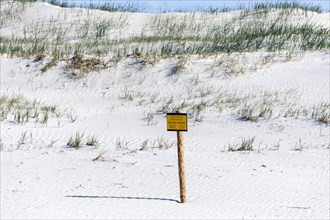 Dune landscape on the coast of Sankt Peter-Ording