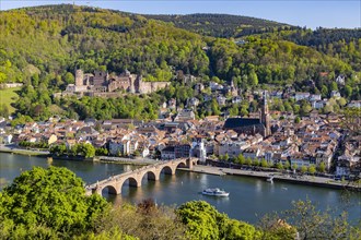 City view Heidelberg