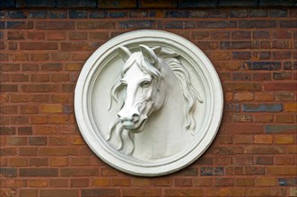 Relief of a horses head on a house wall