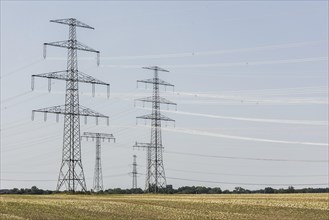 Electricity pylons