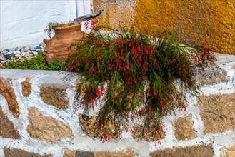 Lachania village