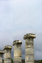 Lonic columns