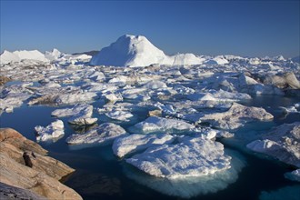 Icebergs in the Kangia Icefjord
