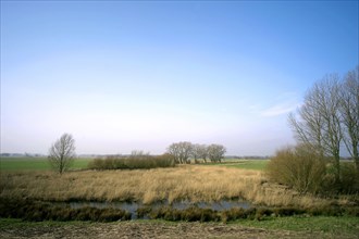 Lower Saxony Neuenkirchen Dike foreland
