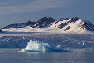 Calved iceberg from the Lilliehoeoekbreen glacier drifting in the Lilliehoeoekfjorden