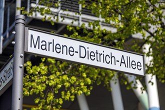 Film University Babelsberg KONRAD WOLF at Marlene-Dietrich-Allee