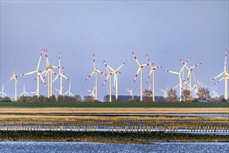 View of the wind farm behind the dike Friedrichskoog-Spitze in the evening