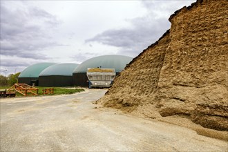 Biomass or silage converted to combustible gas in the biogas plant