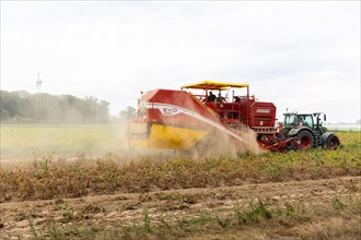 A potato harvester is pulled by a tractor on a field cultivated with potatoes in Uetze
