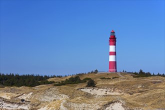 Amrum lighthouse in the dunes along the Wadden Sea