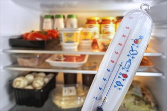 Thermometer in front of open fridge