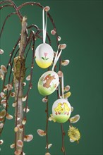 Willow catkin with Easter eggs