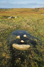Natural smiley made of stones in the middle of a puddle of water in a meadow in the Highlands of Scotland