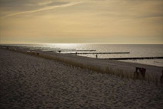 View of Arenshoop beach on the Fischland-Darss-Zingst peninsula in Mecklenburg-Western Pomerania. Arenshoop