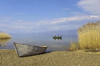 Lake Ohrid near Piskupat with rowing boat and reeds