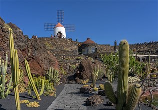 Windmill in the Jardin de Cactus