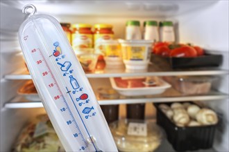 Thermometer in front of open fridge