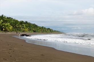 Secluded sandy beach on the Caribbean coast
