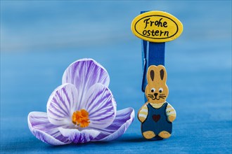 Crocus Flower and Bracket with Inscription Happy Easter