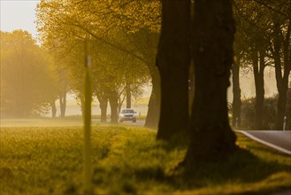 A car drives across a country road in the morning light in Glasewitz