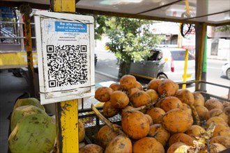 QR code for cashless payment at the stall of a coconut vendor in Trichy