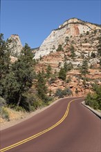 Bizarre rocky landscape on the panoramic Zion-Mt.Carmel Highway