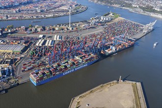 Container Terminal Tollerort with all four berths