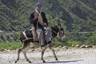 A man riding a donkey