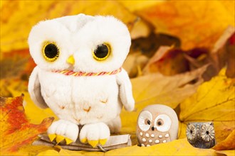 Owls Figures on Autumn Leaves