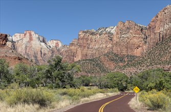 Road in Zion Canyon