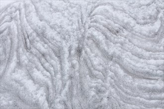Detail showing ice formation with dirt