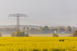 Electricity pylons looming in a landscape near Glasewitz