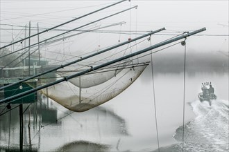 Eel nets on a branch of the Po in Italy. In the early morning