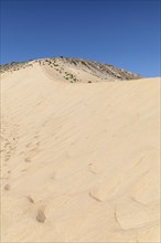 Dune Landscape