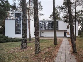 Bauhaus Master Houses