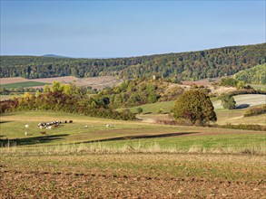 Typical hilly landscape in North Hesse in autumn