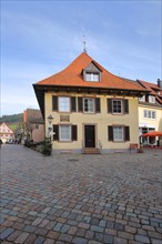 Birthplace of writer Heinrich Hansjakob