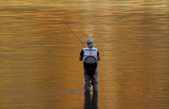 Fly fisherman standing in a river