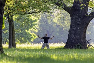Yoga under old trees in Rosensteinpark