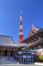 Tokyo Tower view from Zojo-ji temple Japan Asia