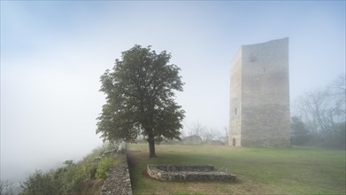 Ruin of the lower Sachsenburg in the fog