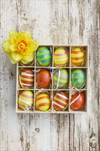 Coloured eggs in a box