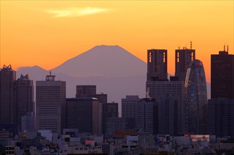 Mount Fuji and Shinjuku skyscrapers after Sunset Tokyo Japan Asia