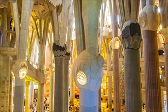 Columns on the interior of the Sagrada Familia