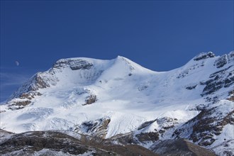 Mount Athabasca in the Columbia Icefield of Jasper National Park