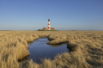 Saltmarsh and the lighthouse Westerhever in spring