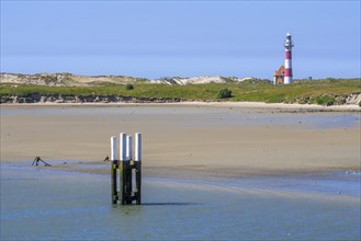 Lighthouse in dunes and seabirds